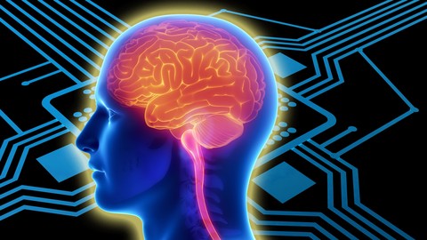 8 Fun & Simple Mind Hacks to Sharpen Your Brain