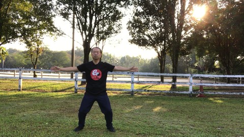 Tai Chi Standing Qi Gong - Relaxation of Mind and Body