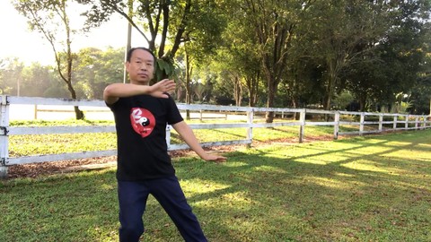 Tai Chi to Keep Joints Limber, FREE from Hip and Knee pain!