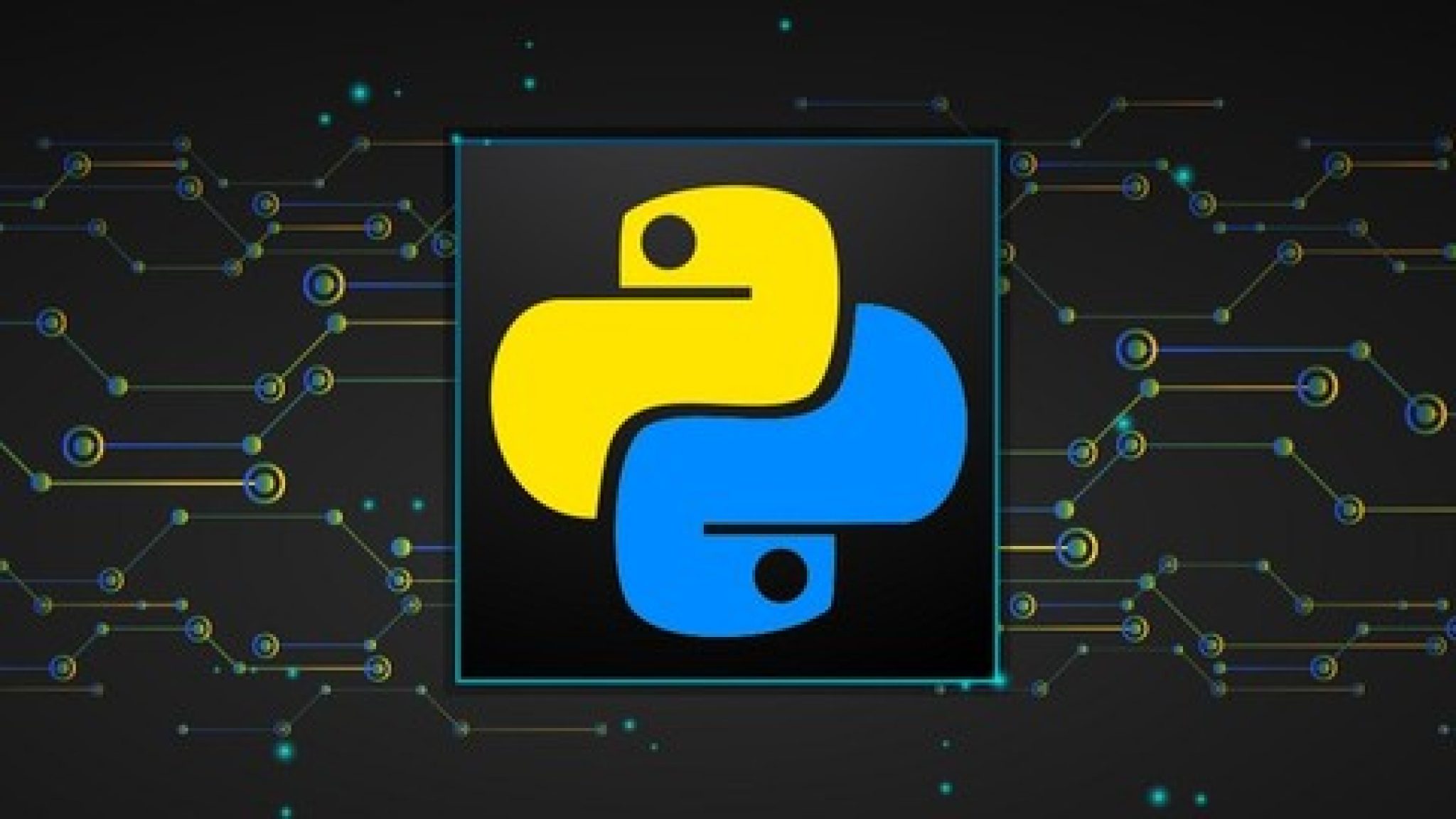 Логотип программирования питон. Python картинки. Питон язык программирования логотип. Обои на рабочий стол программирование. Обои программиста.