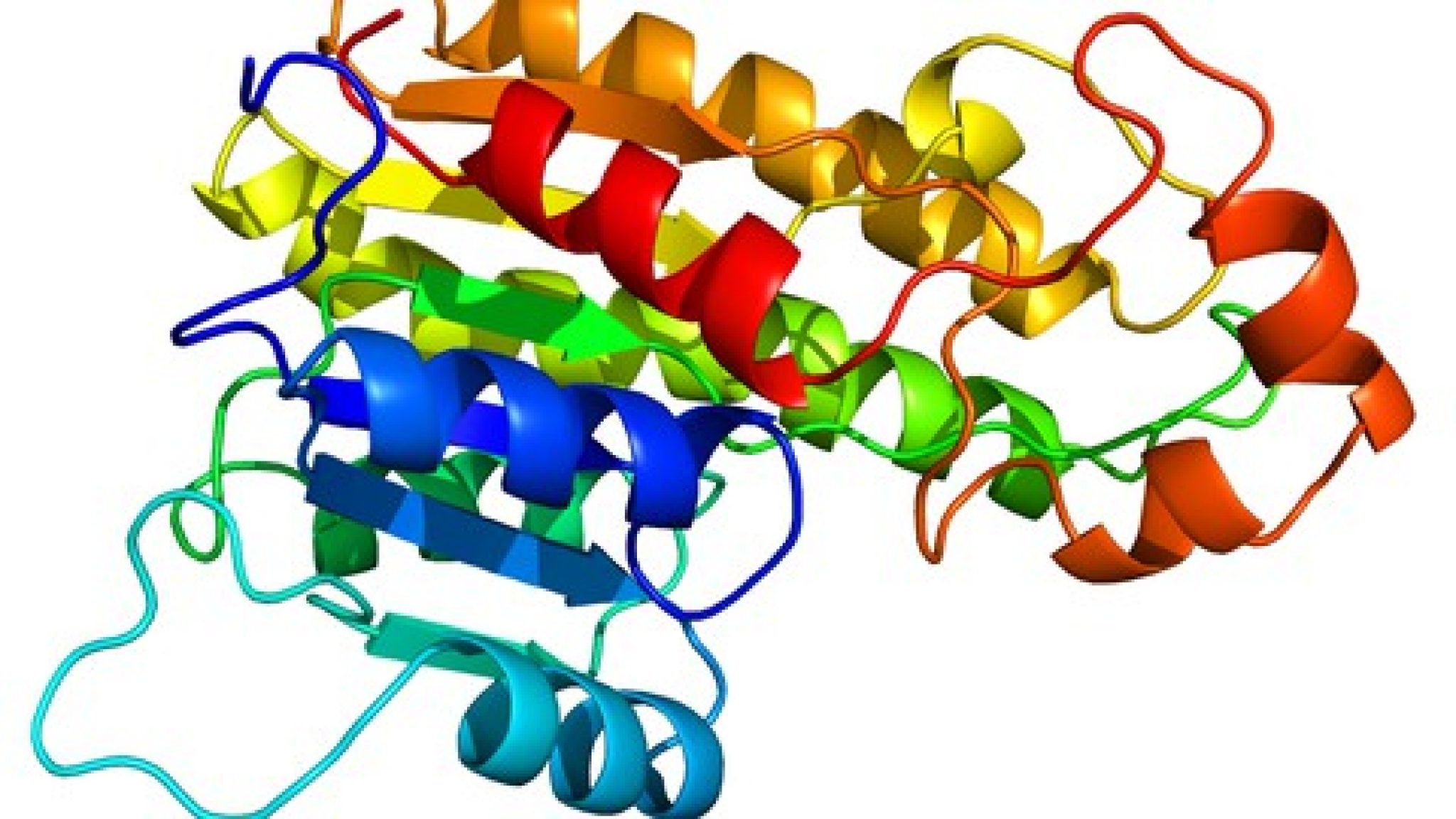 Структура молекула белка модель