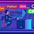 Python, Java, C#, C++ & C Programming Practices For Dummies