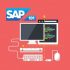 SAP Basis One-on-One Foundation: From Novice to Professional
